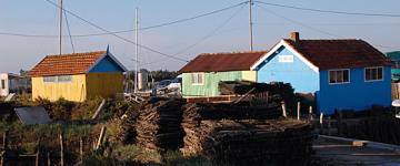 Le site de Daire. Crédit : Ile d'Oléron Marennes Tourisme