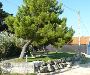 Le Vieux Chapus. Crédit : Mairie de Bourcefranc-Le Chapus