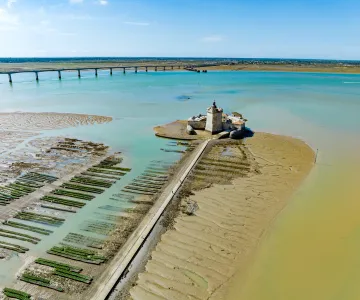 Fort Louvois, Bourcefranc-le-Chapus