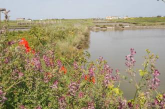 La pointe de Daire et ses vies cachées