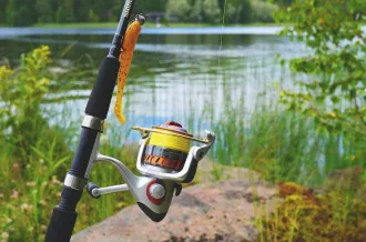 Pêche