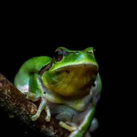 Les zones humides dans les cycles de l'eau