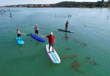 Balade dans le marais en SUP!