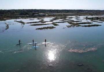 Balade paddle !