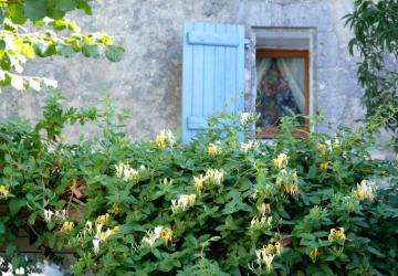 Le logis des lauriers roses