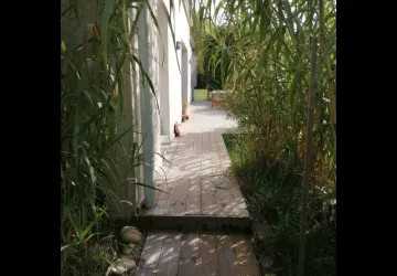 Massage thaï sur oléron