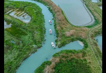 Vue aérienne marais