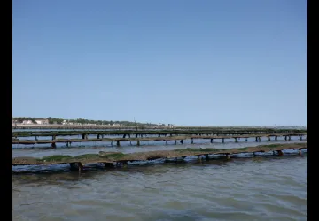 Parcs à huîtres