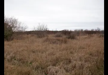 Marais Lacheneau et bois des combes