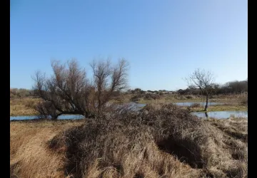 Marais de la Perroche