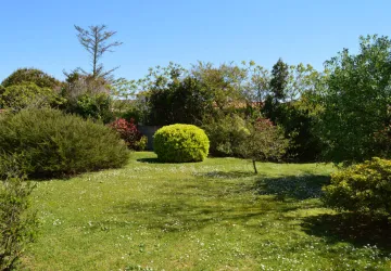 Jardin