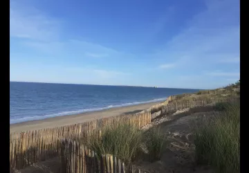 Forêt des Saumonards