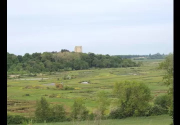 Marais de Brouage