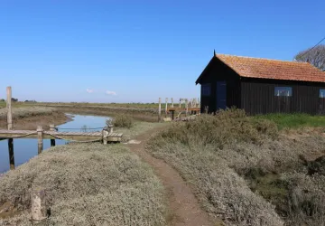 Port paradis_Nieulle-sur-Seudre
