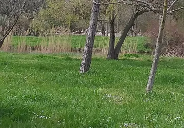 Aire de pique nique Arceau