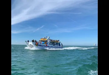 Croisières en mer Picot des îles - Saint-Denis croisières