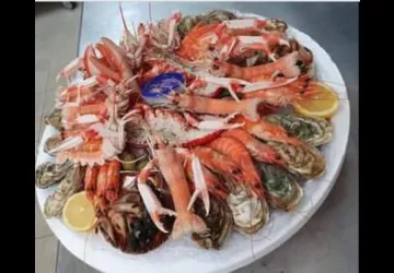 AllO PlatO