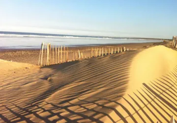 Camping Les Pins d'Oléron_Le Grand-Village-Plage