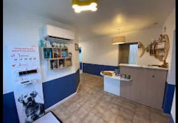 Cabinet Vétérinaire - Vétomar Marennes_Marennes-Hiers-Brouage