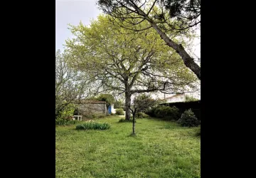 jardin 3