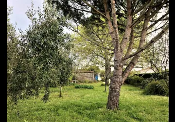 jardin 4
