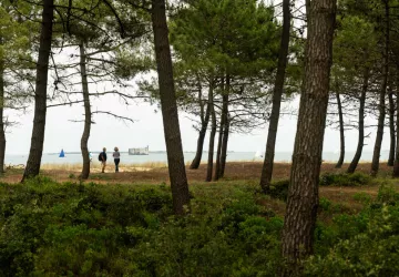 Chemin d'Oléron