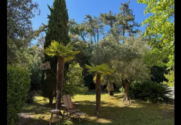 Douceur des Pins