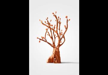 Exposition sculptures et photographies  à la Voilerie